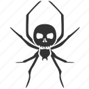 deadly spider, poison spider, poisonous spider, spider, death, halloween, poison