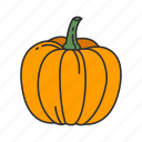 halloween, pumpkin, squash, trick or treat