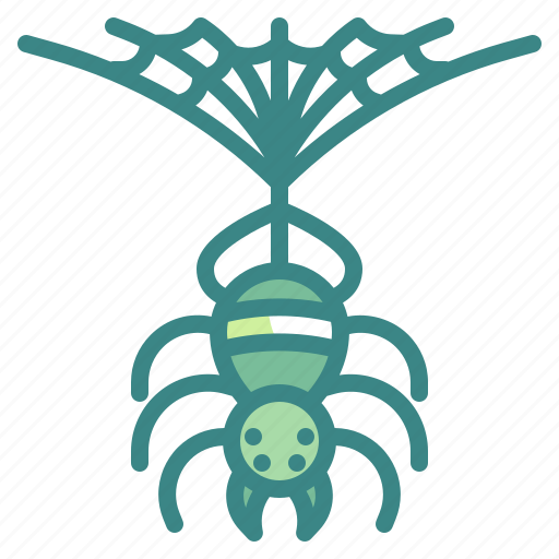 Spider, spiders, cobweb, insect, animal icon - Download on Iconfinder