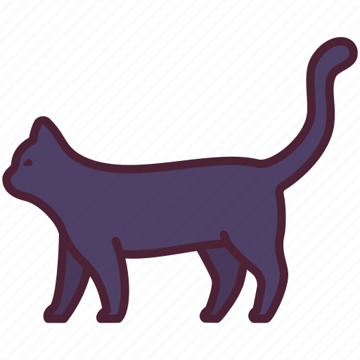 Animal, cat, halloween, kitten, pet, spooky, witch icon - Download on Iconfinder