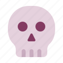 bone, braincase, halloween, headbone, horror, skull