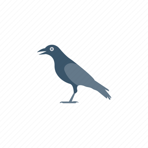 Bird, blackbird, crow, fly icon - Download on Iconfinder
