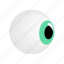 eye, eyeball, eyesight, human, iris, isometric, view 