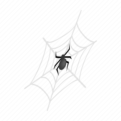 Arachnid, danger, halloween, horror, insect, isometric, spider icon - Download on Iconfinder