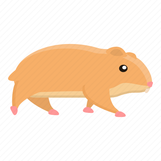 Animal, hamster, nature, walking, winter icon - Download on Iconfinder