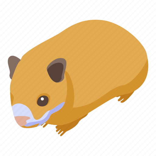 Animal, cartoon, hamster, house, isometric, nature, small icon - Download on Iconfinder