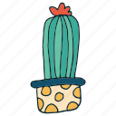 art, cactus, succulent