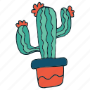 cactus, hand draw, succulent 
