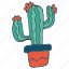 cactus, hand draw, succulent 