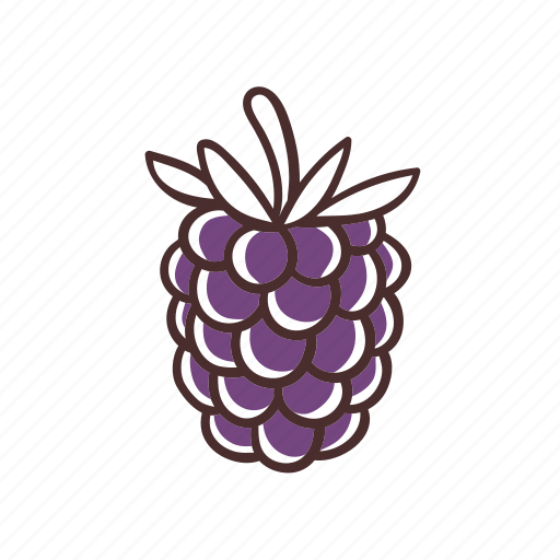 Blackberry, fruit, food, healthy, organic icon - Download on Iconfinder