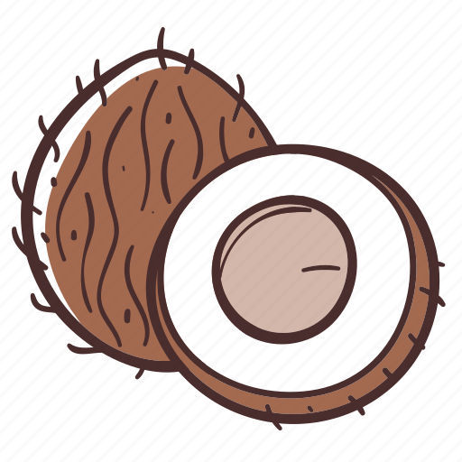 Coconut, fruit, food, healthy, organic icon - Download on Iconfinder