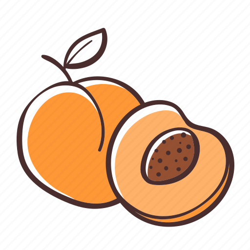 Peach, fruit, food, healthy, organic icon - Download on Iconfinder