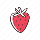 strawberry, fruit, food, healthy, organic