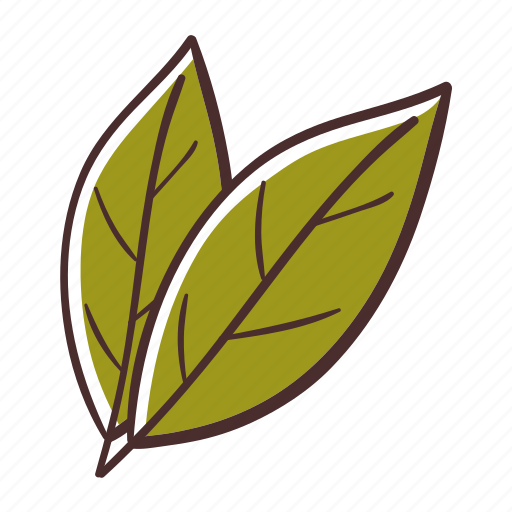 Bay, leaves, cooking, ingredient, condiment, herbs icon - Download on Iconfinder