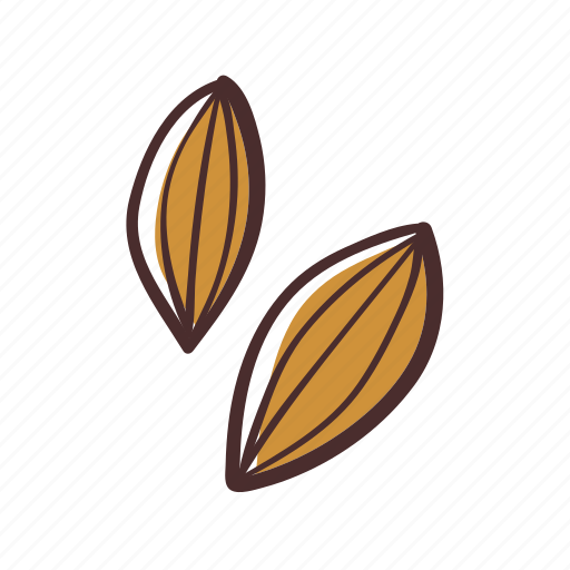 Caraway, cooking, ingredient, seasoning, condiment, seed icon - Download on Iconfinder