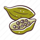 cardamom, seed, cooking, ingredient, condiment