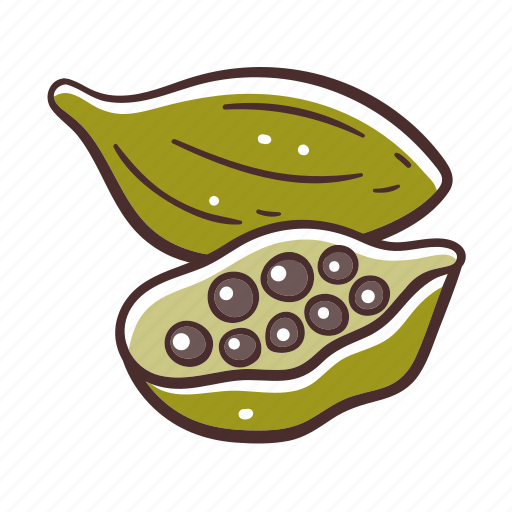 Cardamom, seed, cooking, ingredient, condiment icon - Download on Iconfinder