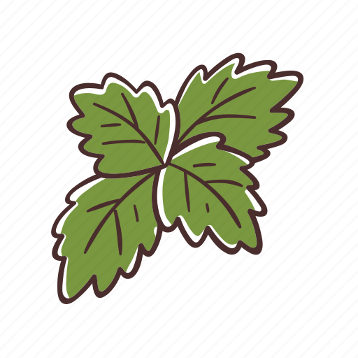 Mint, leaf, herb, cooking, ingredient, condiment icon - Download on Iconfinder