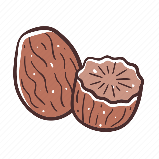 Nutmeg, nut, cooking, ingredient, condiment icon - Download on Iconfinder