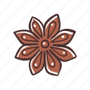 star anise, cooking, ingredient, condiment, sweet
