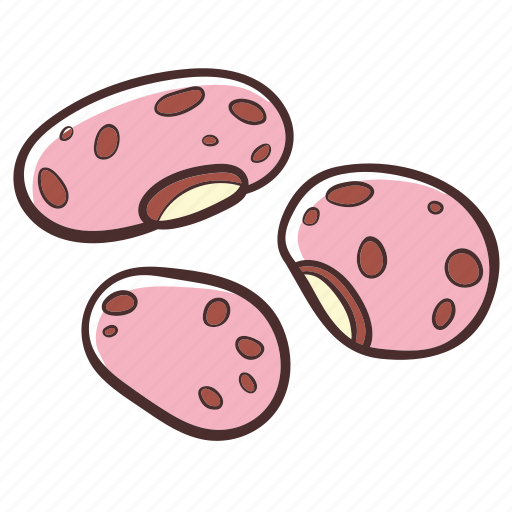 Pinto beans, food, legume, cooking, ingredient icon - Download on Iconfinder