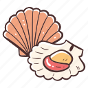 scallop, seashell, seafood, sea, cooking, ingredient