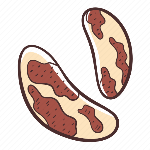 Brazil nut, food, nuts, snack, healthy icon - Download on Iconfinder