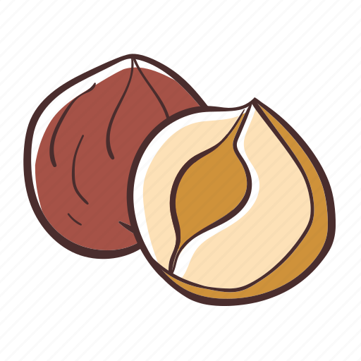 Hazelnut, food, nuts, snack, healthy icon - Download on Iconfinder