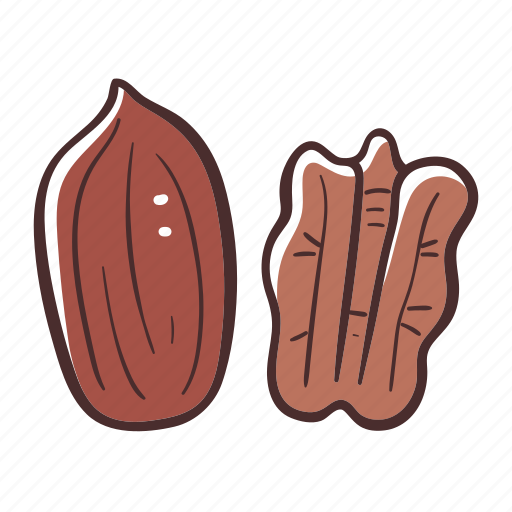 Pecan, food, nuts, snack, healthy icon - Download on Iconfinder