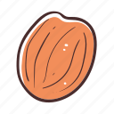 soft apricot, food, snack, healthy, sweet