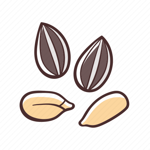 Sunflower seed, food, snack, healthy, seed, cooking icon - Download on Iconfinder