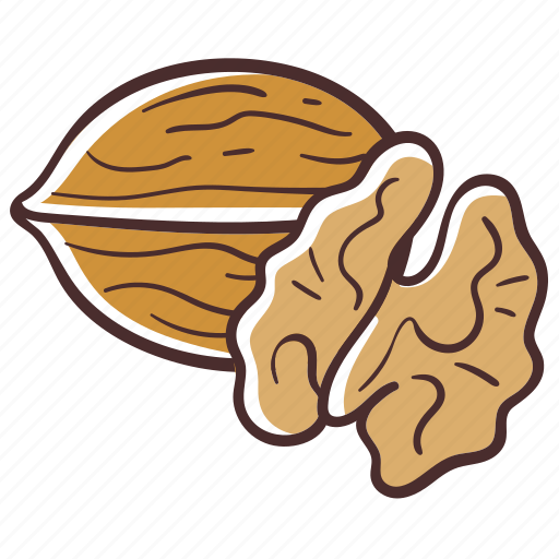 Walnut, food, nuts, snack, healthy icon - Download on Iconfinder