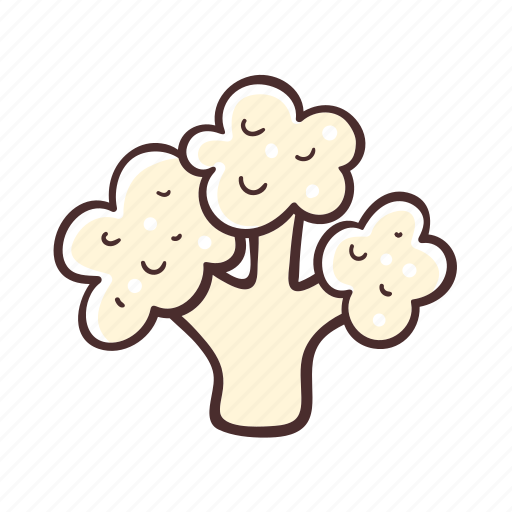 Cauliflower, food, vegetable, cooking icon - Download on Iconfinder