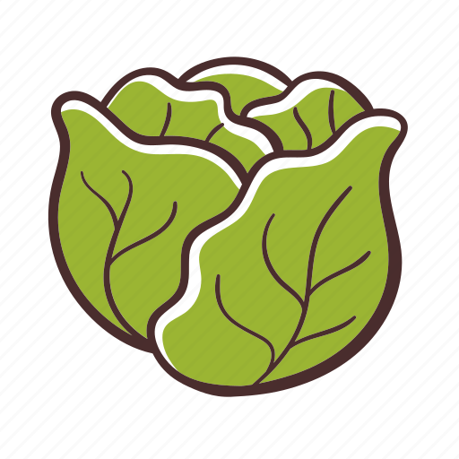 Collard, food, vegetable, cooking, healthy icon - Download on Iconfinder