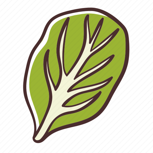 Collard leaf, food, vegetable, cooking icon - Download on Iconfinder
