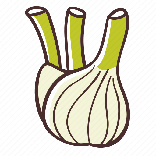 Fennel, food, vegetable, cooking icon - Download on Iconfinder