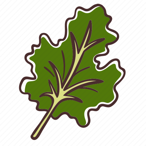 Kale leaf, kale, food, vegetable, cooking icon - Download on Iconfinder