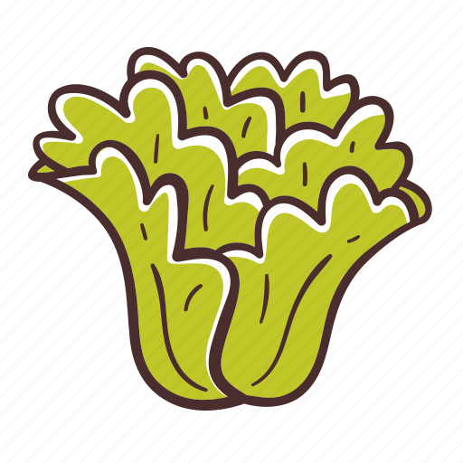 Lettuce, food, vegetable, cooking, green leaves icon - Download on Iconfinder