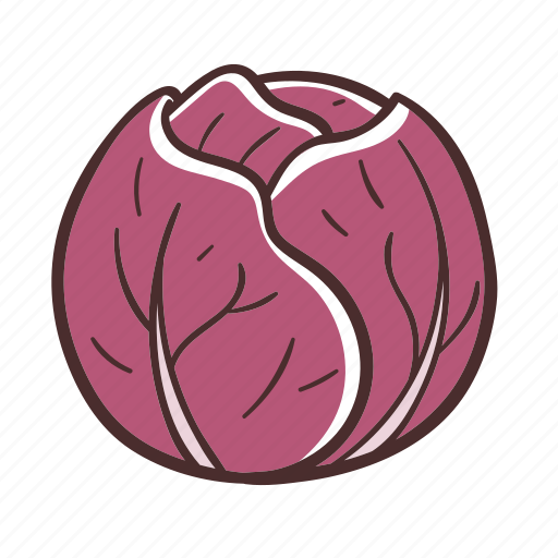 Red cabbage, food, vegetable, cooking, cabbage icon - Download on Iconfinder