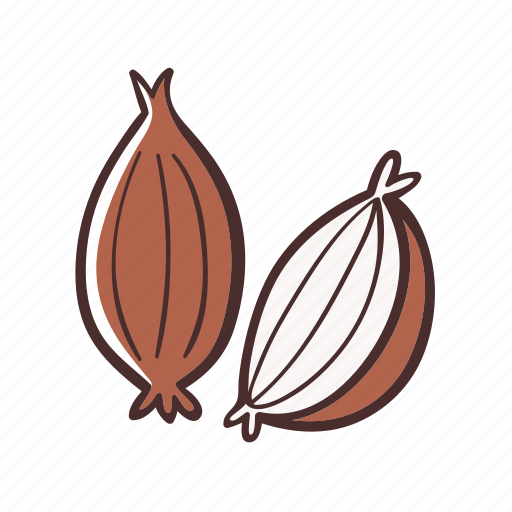 Shallot, onion, food, vegetable, cooking icon - Download on Iconfinder