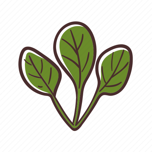 Spinach, food, vegetable, cooking, healthy icon - Download on Iconfinder