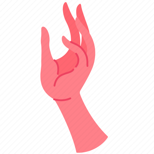 Hand, gesture, feminine, beauty, woman, fingers, organ icon - Download on Iconfinder