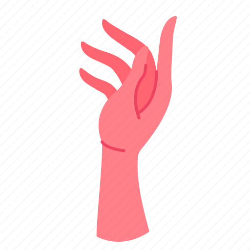 Hand, gesture, feminine, beauty, woman, fingers, person icon - Download on Iconfinder