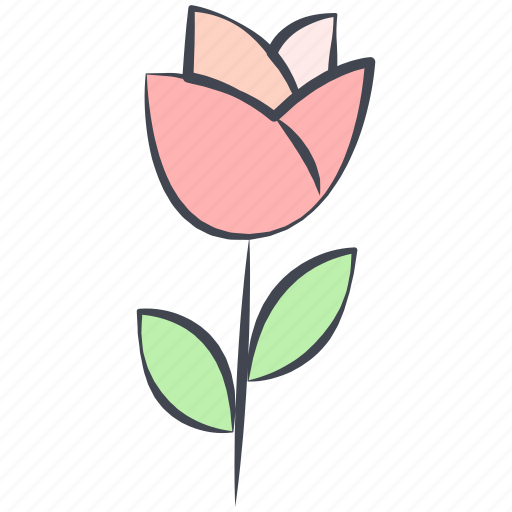 Flower, love, love flower, rose, tulip, valentine, valentine's day icon - Download on Iconfinder