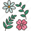 flower, plant, dried, petals, flora 