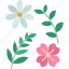 flower, plant, dried, petals, flora 