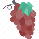 grapes, bunch, grapevine, fruit, winery