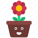 happy, plant, pot, plants, flower