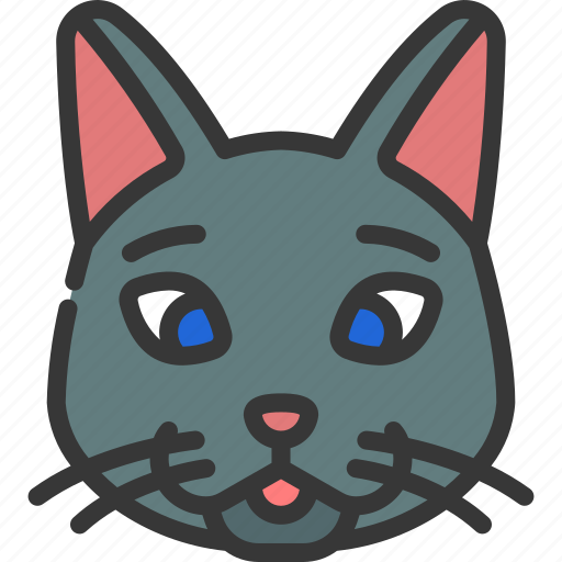 Happy, cat, smile, animal, pet icon - Download on Iconfinder