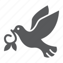 animal, bird, dove, freedom, peace, wing